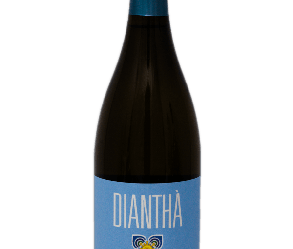 Dianthà IGT Terre Siciliane 2020 - Kleiner Italiener | Weißweine